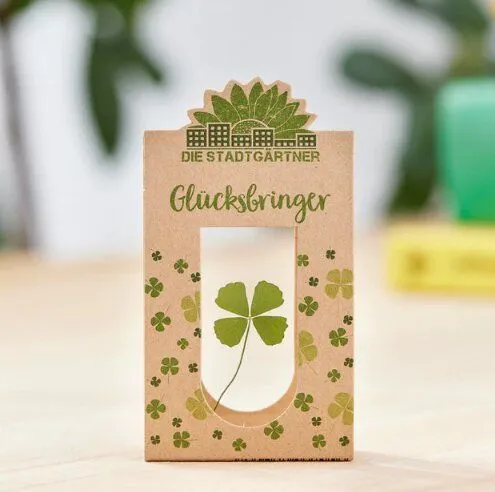 Die Stadtgärtner Die Stadtgärtner Glücksbringer I Echtes vierblättriges Kleeblatt als Talisman-Geschenk – Produktbild 3 von 4