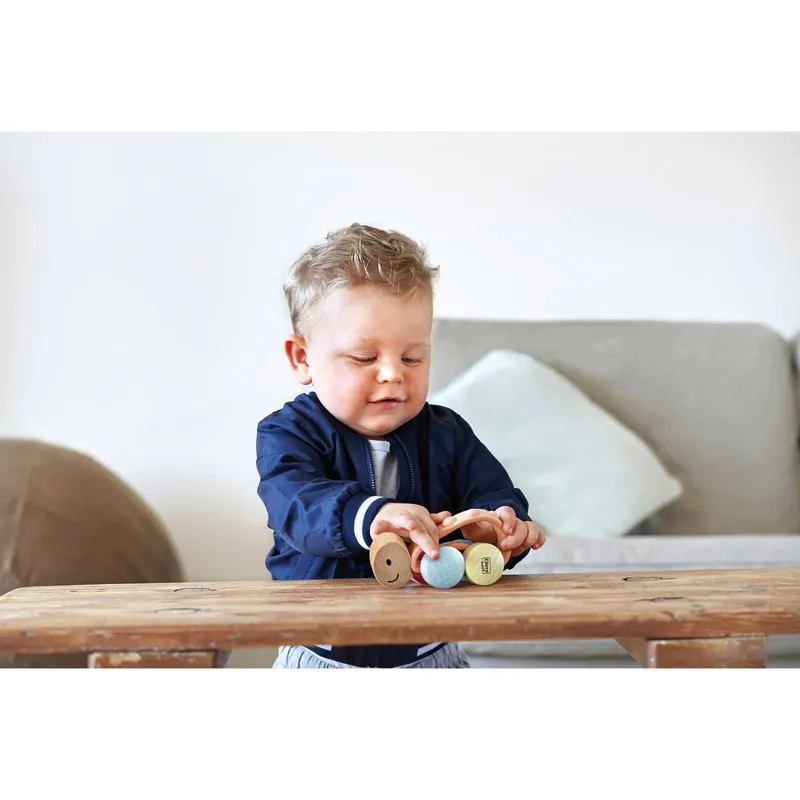 Hape Hape Schiebespielzeug Rennschildkröte Rike, Mehrfarbig, – Produktbild 1 von 3