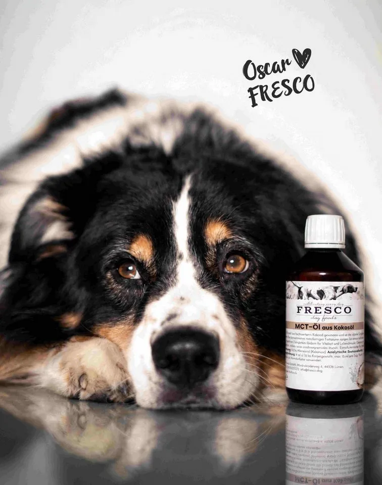 Fresco Dog MCT Öl für Hunde 250ml, BARF Öl Hund mit C8 und C10, Nahrungsergänzungsmittel für: Kleintiere, Katzen, Hunde, Für Senioren & aktive Hunde, Geschmacks- und geruchsneutral – Produktbild 2 von 3