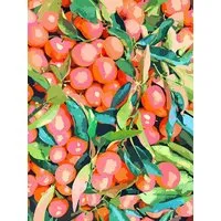 Photocircle Photocircle Poster / Leinwandbild - Fruit Garden – Produktbild 1 von 1