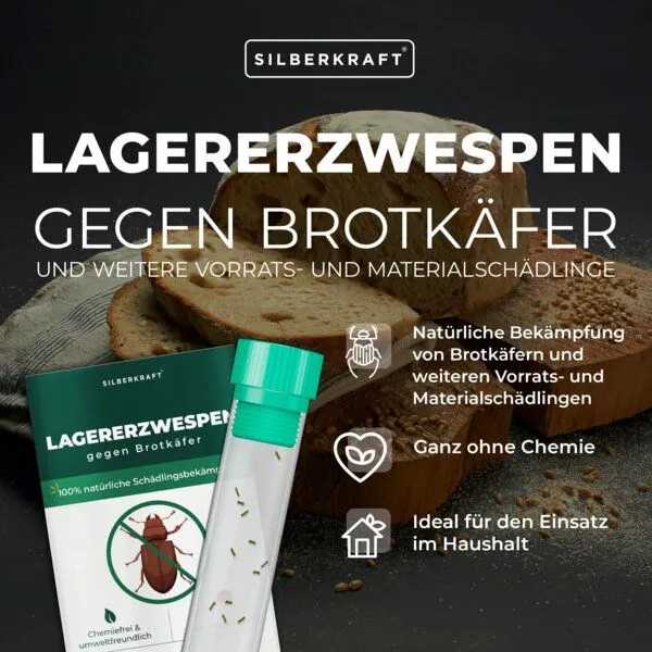 Silberkraft Silberkraft Lagererzwespen gegen Brotkäfer, Tabakkäfer, Kugelkäfer, Messingkäfer (Lariophagus distinguendes, Anisopteromalus calandrae) – Produktbild 2 von 4