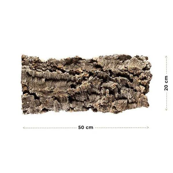 Kork-Deko Kork-Deko Korkrinde: XL Korkstück, 50 x 20 cm – Produktbild 2 von 6