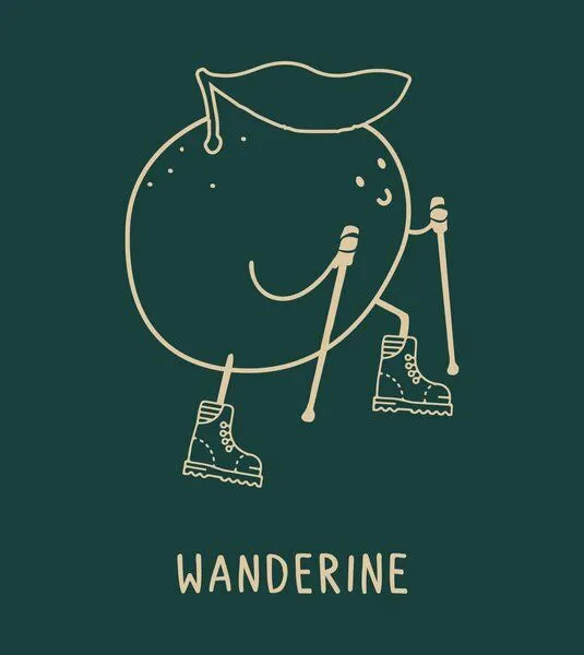 Gary Mash GARY MASH Shirt Wanderine aus Biobaumwolle, Grün, – Produktbild 3 von 4