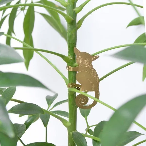 another studio another studio Plant Animal - Design Pflanzendekoration - Figuren aus Messing, Buschbaby, – Produktbild 1 von 4