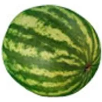 Deutschland Mini-Wassermelonen – Produktbild 1 von 1