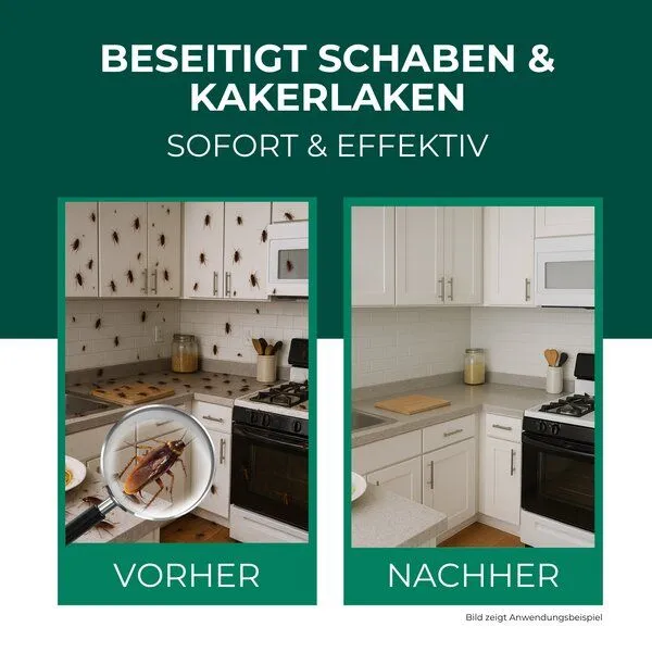 Silberkraft Silberkraft Schaben- & Kakerlakenspray 500 ml – Produktbild 2 von 4