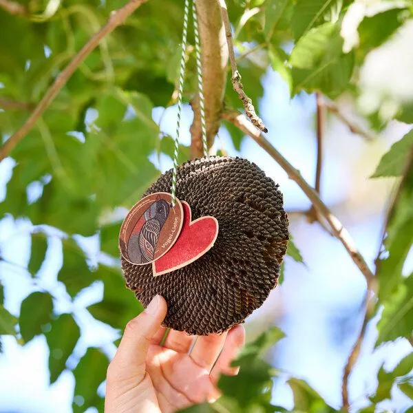 Die Stadtgärtner Die Stadtgärtner Vogelfutter, getrocknetes Sonnenblumenköpfchen – Produktbild 3 von 3