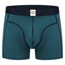 A-Dam A-Dam Gestreifte Boxer Briefs Navy Twotone Stripe – Produktbild 1 von 1