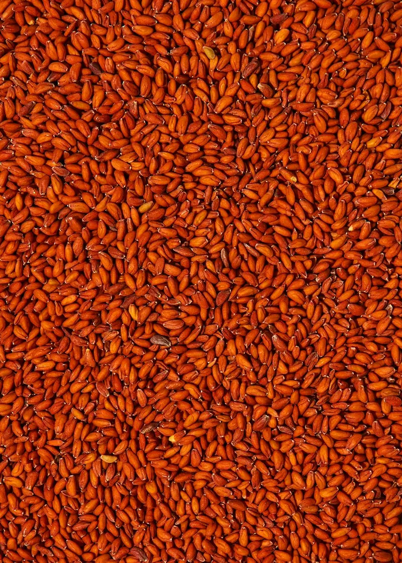 KoRo Bio Kressesamen 1 kg – Produktbild 1 von 5