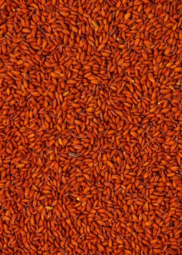 KoRo Bio Kressesamen 1 kg – Produktbild 1 von 1