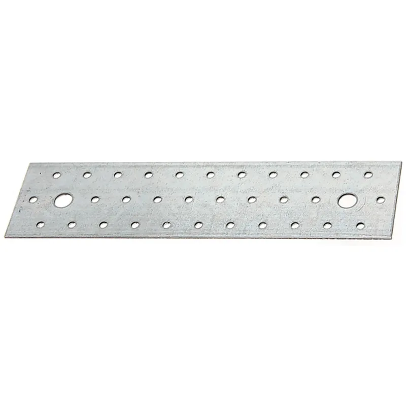 Alberts ALBERTS Lochplatte, sendzimirverzinkt, LxB 240x60 mm, PRO – Produktbild 1 von 1