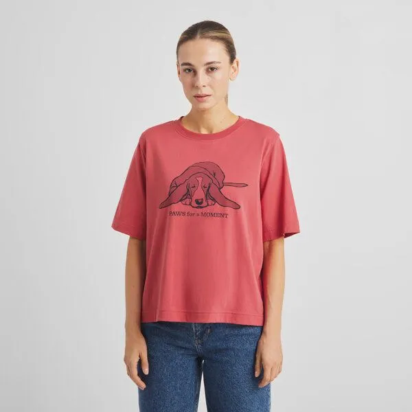 Dedicated DEDICATED T-Shirt aus Biobaumwolle "Vadstena" - Paws For A Moment, Holly red (rot), – Produktbild 1 von 3