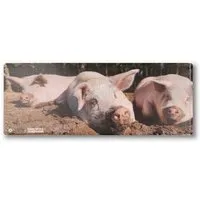 roots of compassion roots of compassion Portemonnaie vegan mit Schweinen - Wallet aus Tyvek – Produktbild 1 von 1