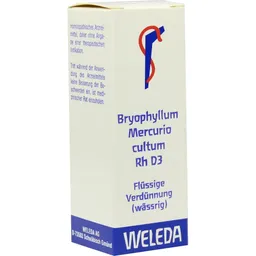 Weleda WELEDA BRYOPHYLLUM MERCURIO cultum Rh D 3 Dilution 20 ml Dilution – Produktbild 1 von 1