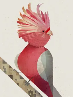 Photocircle Photocircle Poster / Leinwandbild - Galah Kakadu – Produktbild 1 von 1
