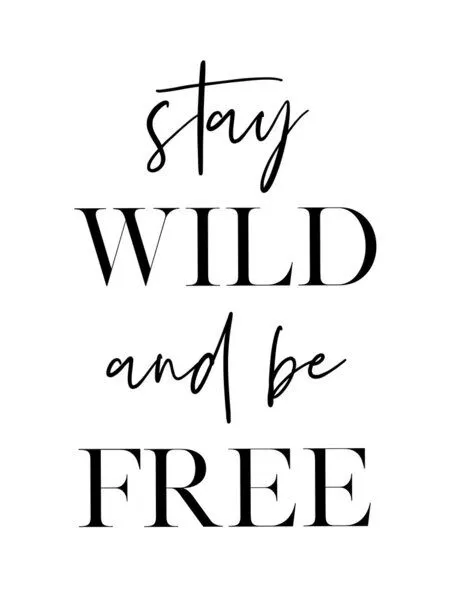Photocircle Photocircle Poster / Leinwandbild - Stay Wild and Be Free – Produktbild 1 von 4