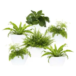 CitySens CitySens 6er-Pack Wand-Blumentopf mit automatischer Bewässerung – Produktbild 1 von 1