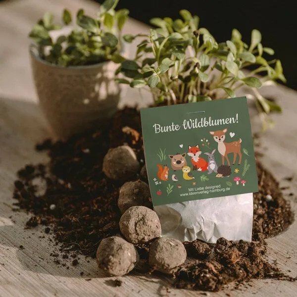 Ideenverlag Hamburg Ideenverlag Hamburg 10 Waldtiere Samenbomben im Tütchen mit Wildblumensaatgut | Nachhaltiges Mitgebsel für Kindergeburtstage & Naturgeschenk für kleine Entdecker:innen – Produktbild 4 von 4