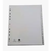Exacompta 5 Exacompta Register, 31 Taben numerisch, 120 µ, DIN A4 Maxi, grau – Produktbild 1 von 1