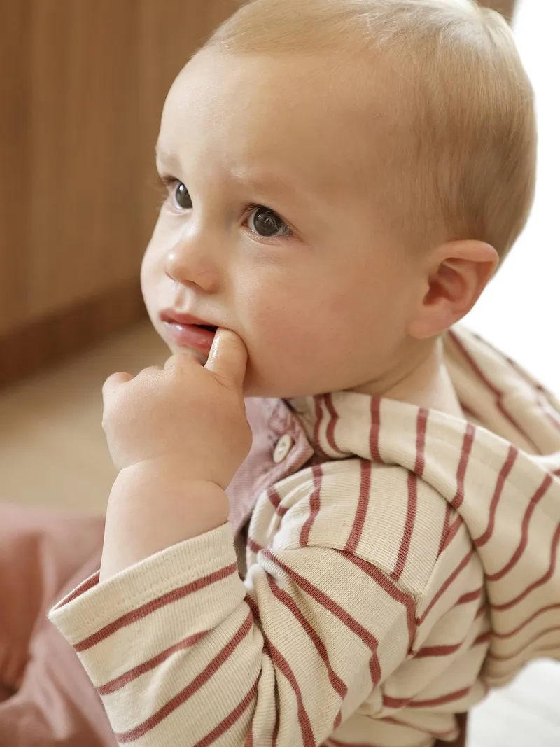 Vertbaudet Vertbaudet Jungen Baby Langarm-Kapuzenshirt, Terrakotta farbe, – Produktbild 1 von 4
