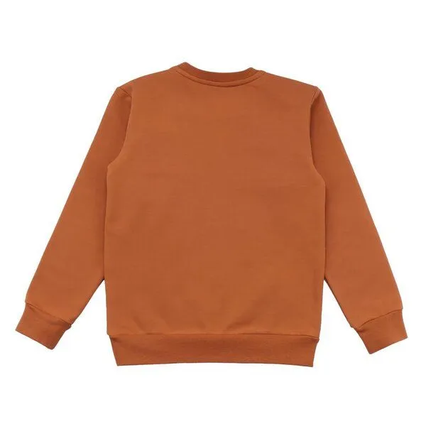 Walkiddy Walkiddy Kinder Sweatshirt GOTS zertifiziert, braun, Dino-Print, weich & elastisch – Produktbild 2 von 2