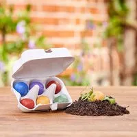 Die Stadtgärtner Osterblumen von "Die Stadtgärtner" | 6 bunte Blumenmurmeln im Mini-Eierkarton – Produktbild 1 von 1