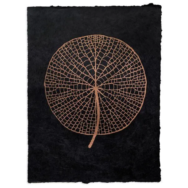 Veskor Cassiopeia Veskor Cassiopeia VICTORIA AMAZONICA Seerosenblatt Linoldruck | 37 x 50 cm | Kupfer auf Schwarz – Produktbild 1 von 4