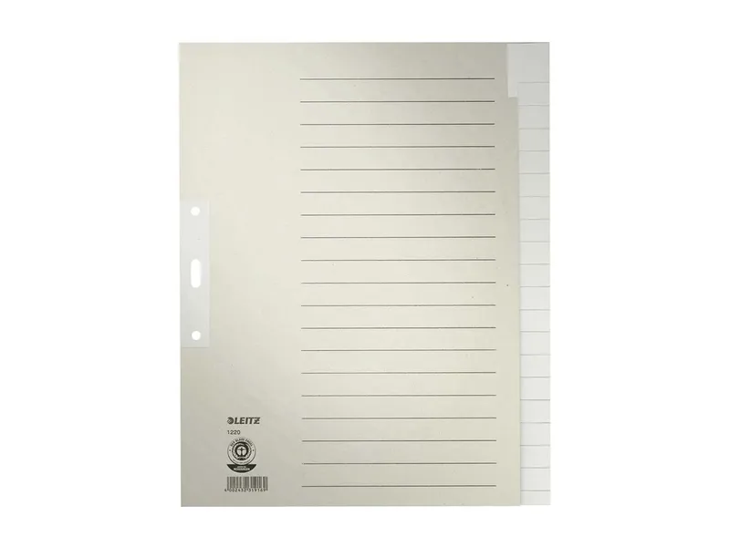 Leitz Leitz Register aus Tauenpapier blanko, A4 Überbreite – Produktbild 2 von 3