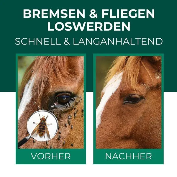 Silberkraft Silberkraft Bremsen-Spray für Pferde – Produktbild 2 von 4