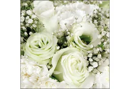 Ambiente Luxury Paper Products Papierserviette, Servietten Papier 33x33cm 3-lag mit Rosen & Schleierkraut Motiv 20 Stk – Produktbild 1 von 1