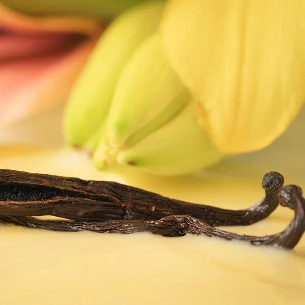 El Puente El Puente Bio-Vanilleschote Bourbon ganz im Glasrohr, Mehrfarbig, – Produktbild 2 von 2