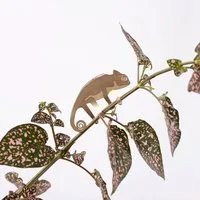 another studio another studio Plant Animal - Design Pflanzendekoration - Figuren aus Messing, Chamäleon, – Produktbild 1 von 1