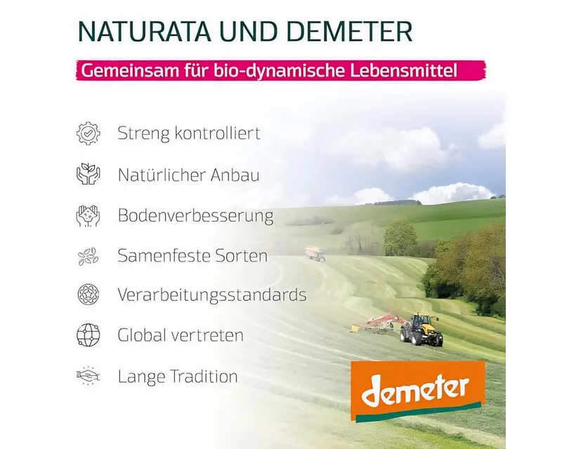 Natura Kaffee Naturata Bio Zichorienkaffee Instant Nachfüllbeute – Produktbild 4 von 5