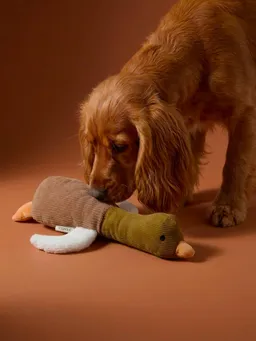 Vertbaudet Hundespielzeug ENTE mit Quietsche und verschiedenen Texturen – Produktbild 1 von 1