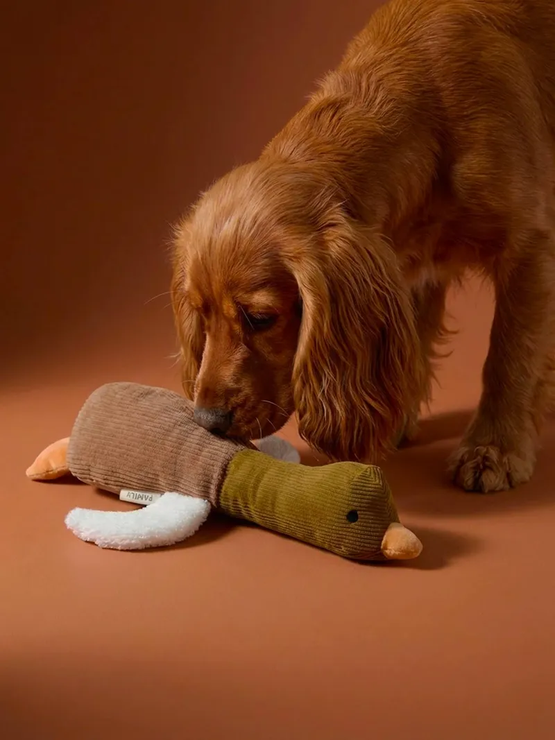Vertbaudet Hundespielzeug ENTE mit Quietsche und verschiedenen Texturen, Hellbraun, – Produktbild 1 von 4