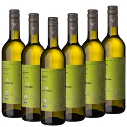 Lauffener Weingärtner Lauffener Weingärtner eG Lauffener ECOVIN Riesling trocken QbA 0,75l - 6er Karton – Produktbild 1 von 1