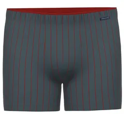 Ammann Ammann Herren Long Short | Active Stripe | GOTS Baumwolle – Produktbild 1 von 1