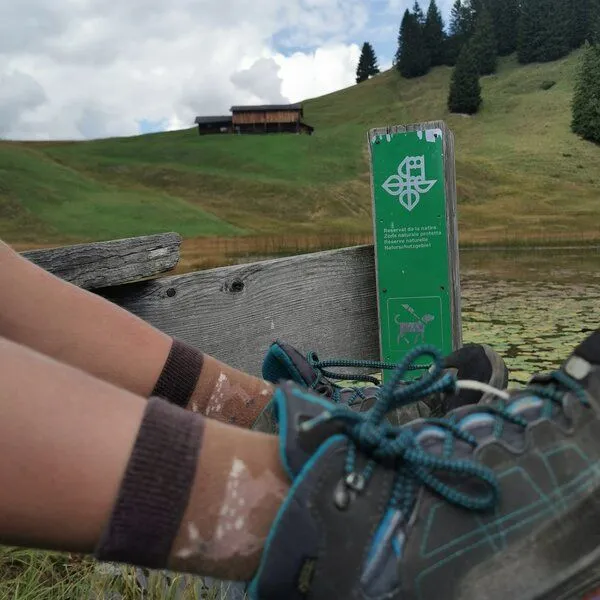 Fräulein Prusselise Fräulein Prusselise Socke mit Rehen, braun, bunt gemustert – Produktbild 4 von 4
