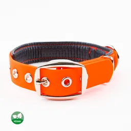 PetTec PetTec veganes Hundehalsband orange M – Produktbild 1 von 1
