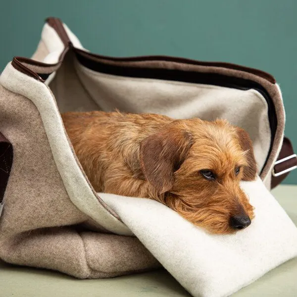 nahtur-design nahtur-design Hundetasche Beige – 100 % Schurwolle Loden – Produktbild 4 von 4