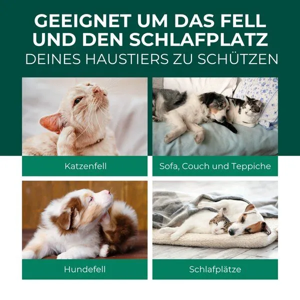 Silberkraft Silberkraft Flohspray Hunde & Katzen – Produktbild 3 von 4