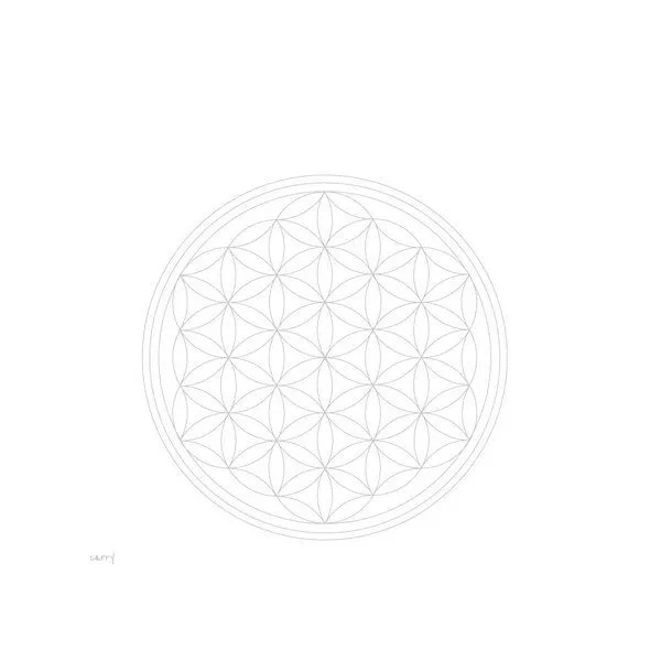 Carry Bottles Carry Bottles Glastrinkflasche 0.7l, Flower of life, – Produktbild 3 von 4