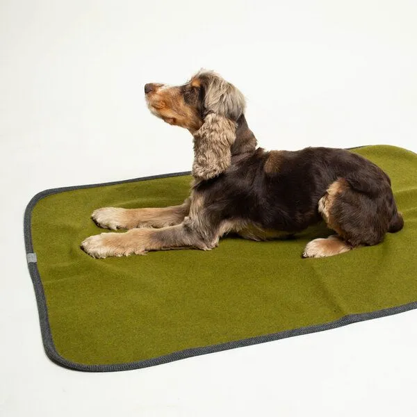 nahtur-design nahtur-design Hundedecke | 100% Schurwolle | natürliche Wärme, Moos-curry_01, – Produktbild 3 von 4