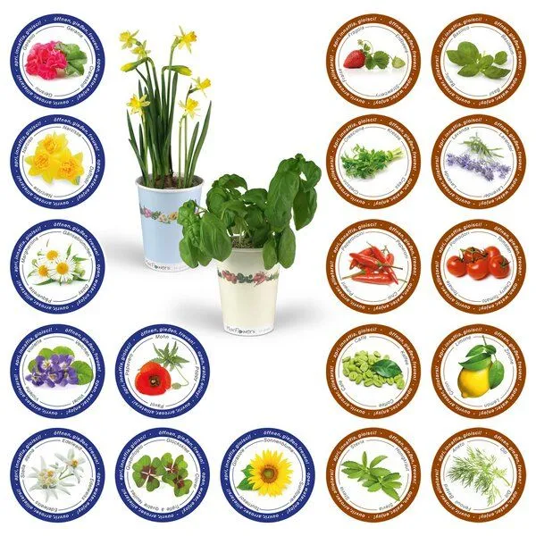 MacFlowers MacFlowers Blumen im Becher TO GROW - Glücksklee – Produktbild 3 von 3