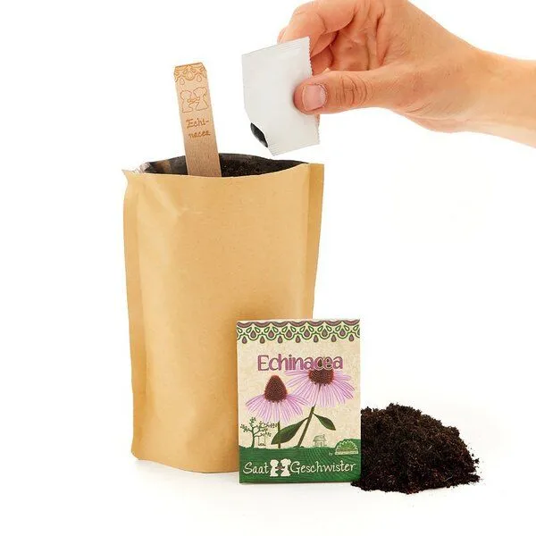 Mitienda Shop Mitienda Shop Minigarten zum Selbermachen – Produktbild 2 von 8