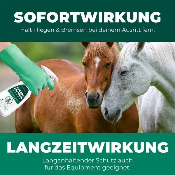 Silberkraft Silberkraft Bremsen-Spray für Pferde – Produktbild 4 von 4