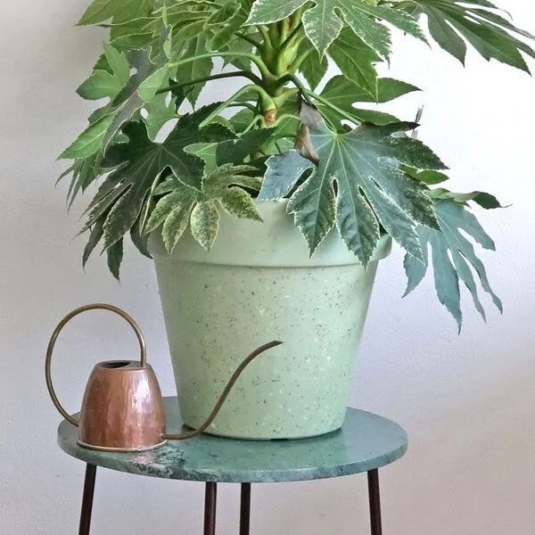 Pretty Things Pretty Things Übertopf Jungle Fever aus Weizenstroh & Bambusfasern, Pistachio green, – Produktbild 3 von 4