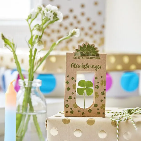 Die Stadtgärtner Die Stadtgärtner Glücksbringer I Echtes vierblättriges Kleeblatt als Talisman-Geschenk – Produktbild 4 von 4