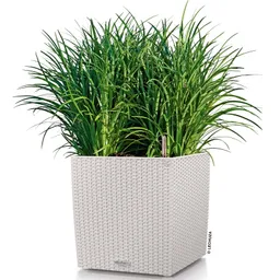 Lechuza® Lechuza® 'Cube Cottage 30', lichtgrau, ca. 29,5 x 29,5 x H 30 cm – Produktbild 1 von 1