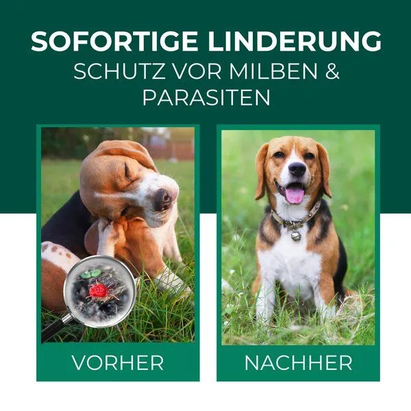 Silberkraft Silberkraft Grasmilben Ex Hund & Katze – Produktbild 2 von 4
